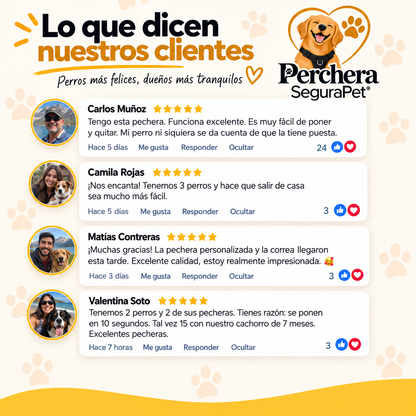 Perchera segurapet I Paseos sin tirones y con mayor control