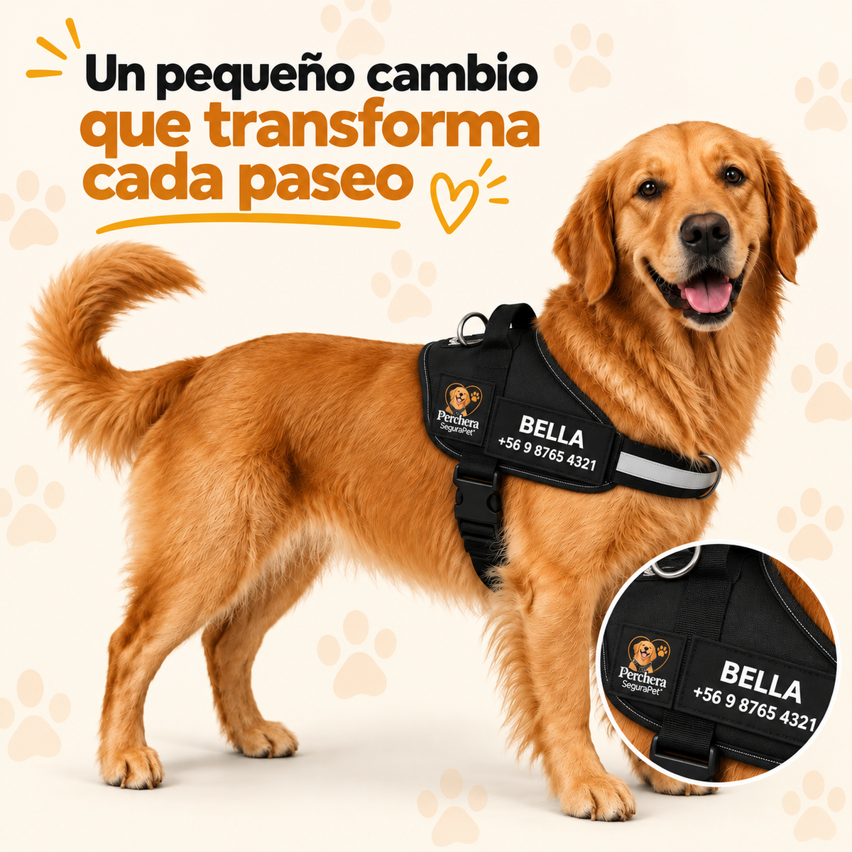 Perchera segurapet I Paseos sin tirones y con mayor control