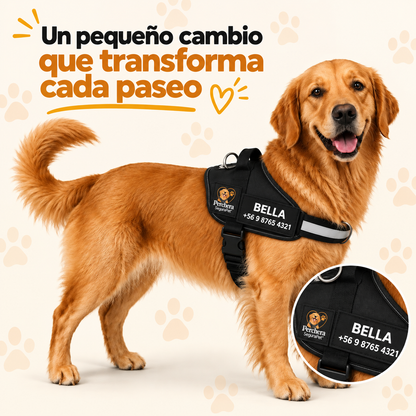 Perchera segurapet I Paseos sin tirones y con mayor control