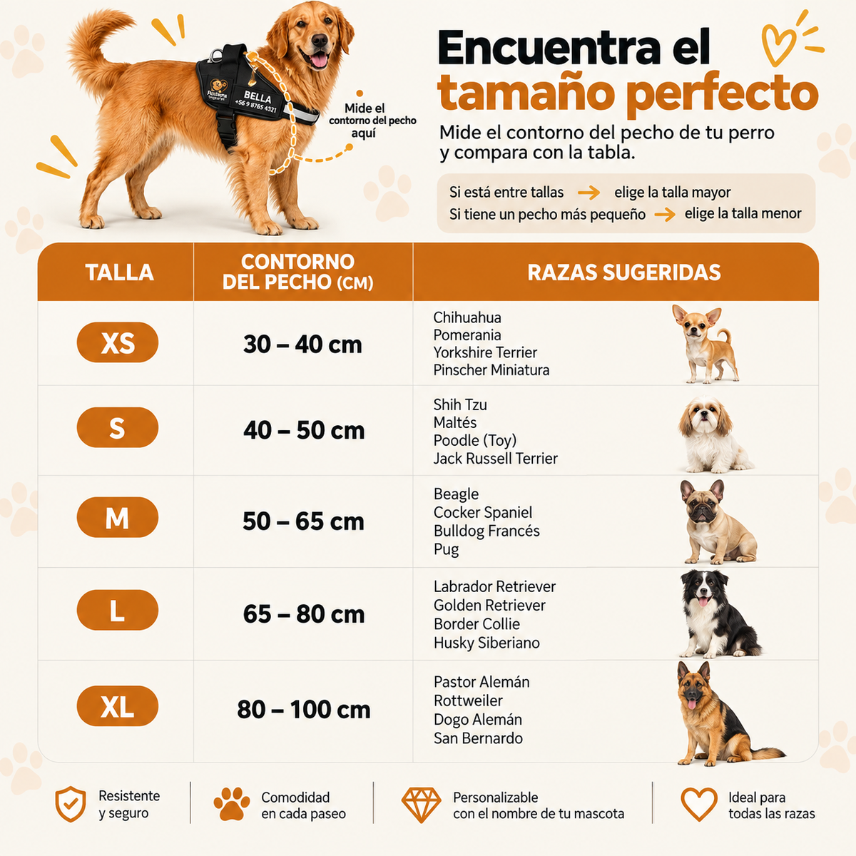 Perchera segurapet I Paseos sin tirones y con mayor control