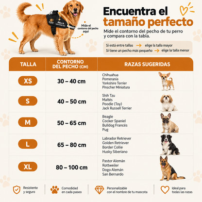 Perchera segurapet I Paseos sin tirones y con mayor control